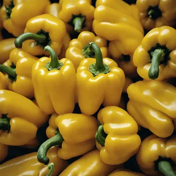 Gelbe Paprika